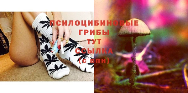 хмурый Алзамай