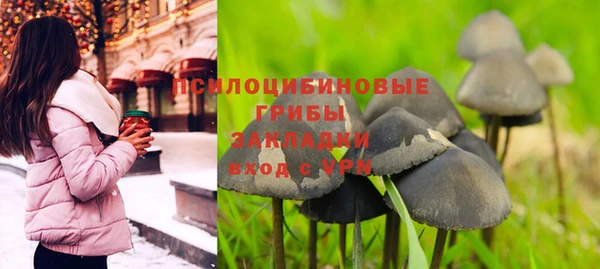 хмурый Алзамай
