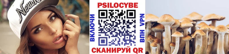 где купить   Безенчук  Псилоцибиновые грибы мухоморы 
